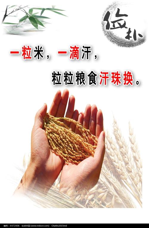 瓦贝希学院机械制造学位证